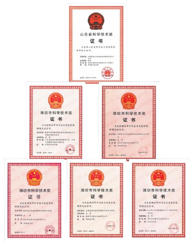 [good news] Longgang silicon Co., Ltd. won the first prize of Weifang Science and Technology Progress Award！