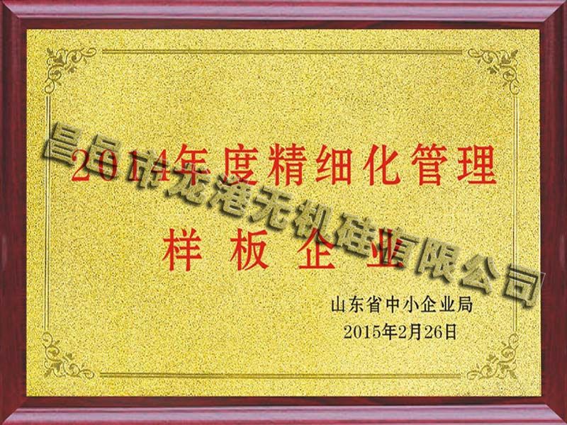 山東省精細化管理樣板企業