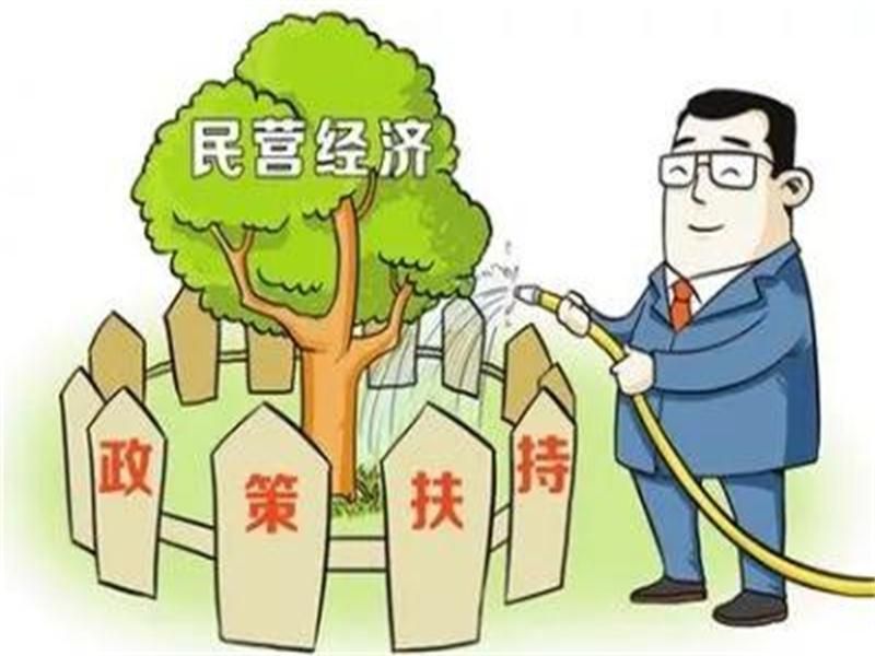 重磅！濰坊出臺財稅政策實施細則，支持民營經濟高質量發展！