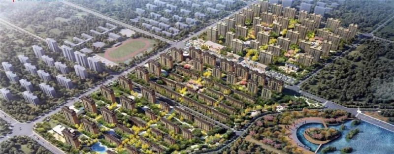 回首過去，不忘初心；展望未來，砥礪前行丨2019，龍港再出發！
