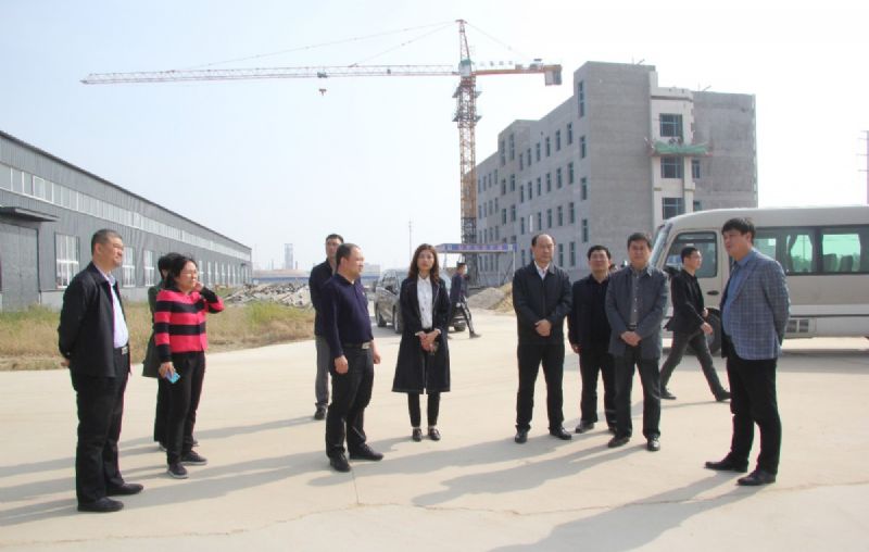 濰坊市重點項目督導組到龍港新材料公司督導重點項目建設推進情況