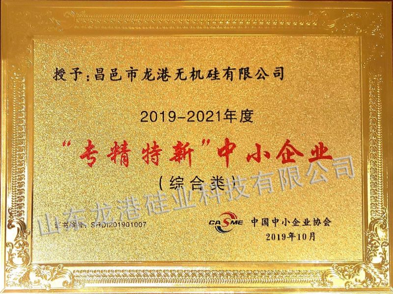中國“專精特新”中小企業