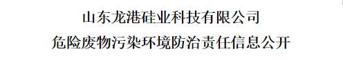 山東龍港硅業科技有限公司危險廢物污染環境防治責任信息公開